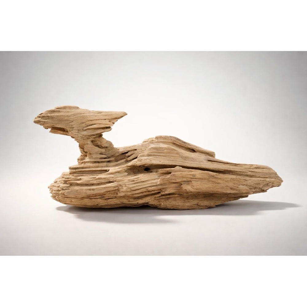 Abstract Art Natural Driftwood Sculpture Duck Star Destroyer Coastal Statement
